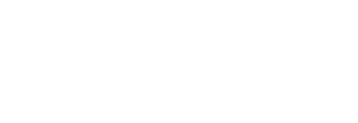 Видеомонитор онлайн